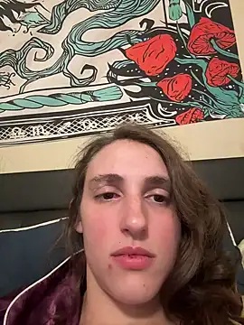 secretknight Mrmask online show from 6, 11, 2025