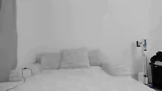 zaylanez online show from 8, 11, 2025