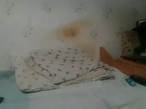 Kreol69 online show from 19, 11, 2025