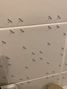 takekichi online show from 25, 3, 2026