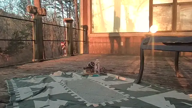 2099RivenXXX online show from 28, 2, 2026