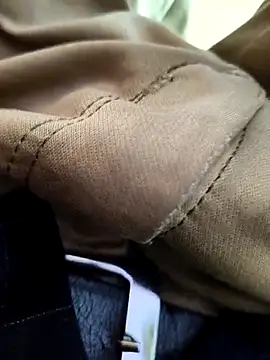 its  aaru online show from 13, 11, 2025