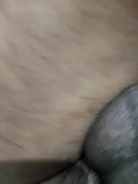 LEOMEGHA2026 online show from 19, 11, 2025