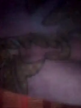 jacka 305 online show from 26, 11, 2025