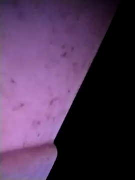 Snapshot of m-mbae chatting on 25, 2, 2026 m-mbae online show from 25, 2, 2026