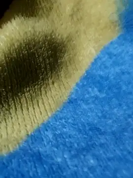 Snapshot of GG23MVP chatting on 30, 11, 2025 GG23MVP online show from 30, 11, 2025