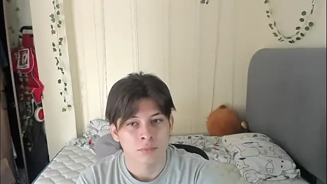 Felix kitty online show from 25, 3, 2026