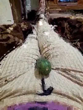 Tota sexi online show from 27, 11, 2025