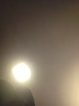 piggylatino online show from 19, 3, 2026