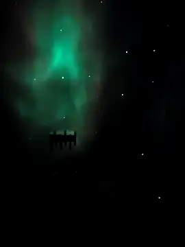 arcacsel online show from 24, 11, 2025