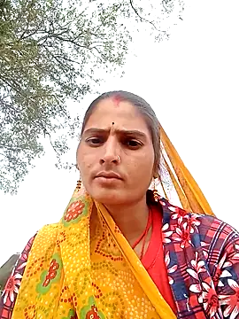 Nelug online show from 19, 11, 2025