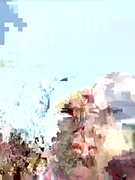 Nelug online show from 17, 12, 2025