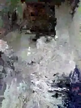 Junior 47 online show from 16, 11, 2025