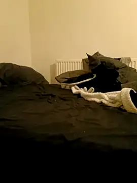 Jakefeeney online show from 17, 11, 2025