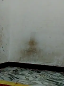 Bigg bhabi online show from 31, 1, 2026