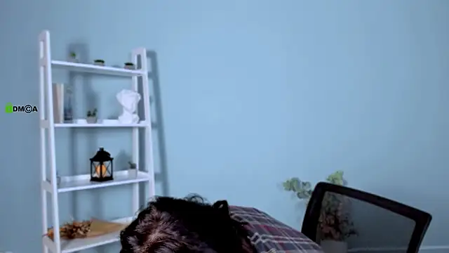 lika pop online show from 17, 1, 2026