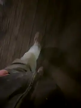 Phil-jae online show from 21, 11, 2025