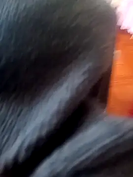 Snapshot of Jeison0323 chatting on 25, 2, 2026 Jeison0323 online show from 25, 2, 2026