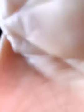 Cat-meow online show from 25, 11, 2025