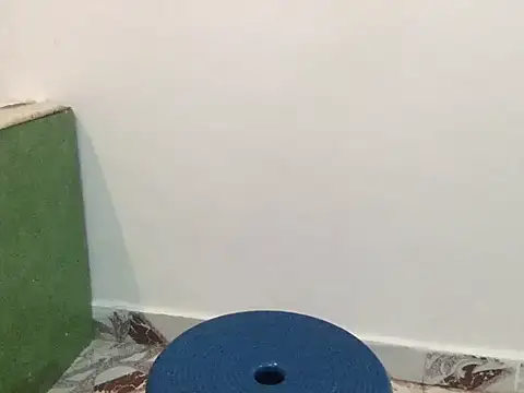 raveena hot online show from 8, 3, 2026