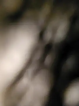 aniis46 online show from 19, 3, 2026