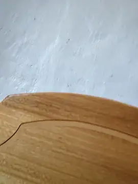 Snapshot of braidqueen00 chatting on 22, 2, 2026 braidqueen00 online show from 22, 2, 2026