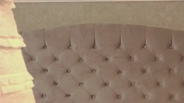 Alice in cumland  online show from 21, 11, 2025