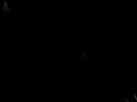 Snapshot of Savannah_Cock chatting on 23, 2, 2026 Savannah Cock online show from 23, 2, 2026