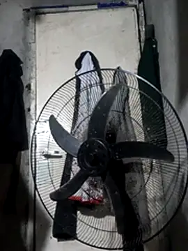 Sweet-Jhonna online show from 2, 12, 2025