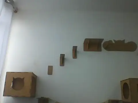 Temp7 online show from 8, 3, 2026