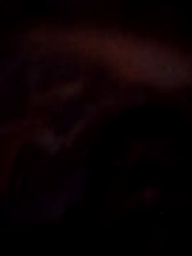 Snapshot of Roy___121 chatting on 23, 11, 2025 Roy 121 online show from 23, 11, 2025