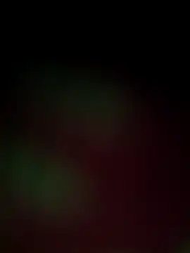 Nandani-758 online show from 18, 12, 2025