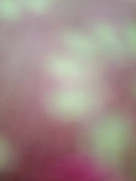 Nandani-758 online show from 20, 2, 2026