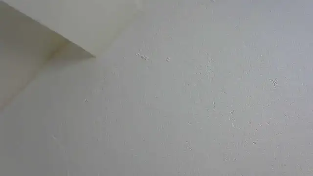 Speedo1988 online show from 17, 1, 2026