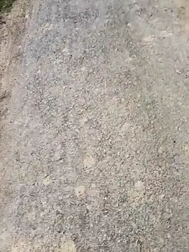 apka rockstarr online show from 21, 2, 2026