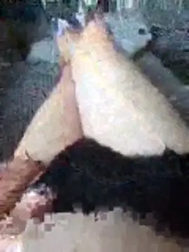 Snapshot of boo202179 chatting on 21, 11, 2025 boo202179 online show from 21, 11, 2025