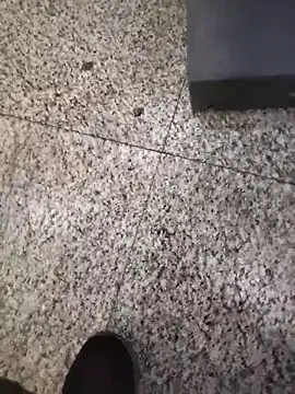 AdoringAssam online show from 22, 11, 2025