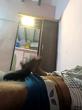 Karnataka-boy online show from 18, 3, 2026