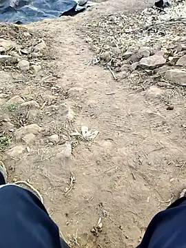 desi alpha boy online show from 18, 1, 2026