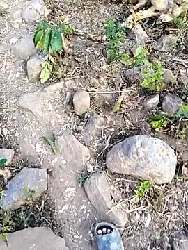 desi alpha boy online show from 3, 2, 2026