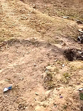 desi alpha boy online show from 4, 2, 2026