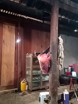 Lily-ross22 online show from 16, 1, 2026