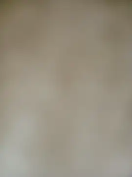 Rocky 0890 online show from 24, 11, 2025