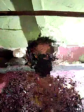 Anita-Dube online show from 2, 2, 2026