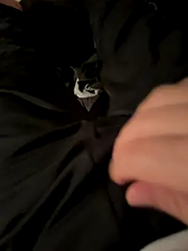 Laufla online show from 3, 12, 2025