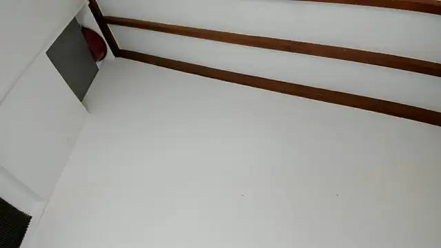 IsaSantoDomingo online show from 3, 2, 2026