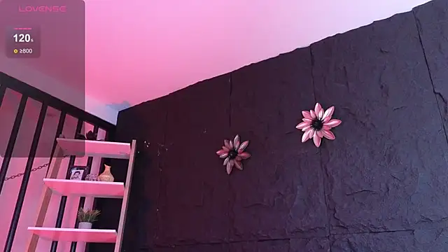 Paulo 527 online show from 12, 1, 2026