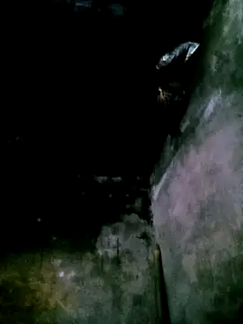 mumu661 online show from 3, 2, 2026