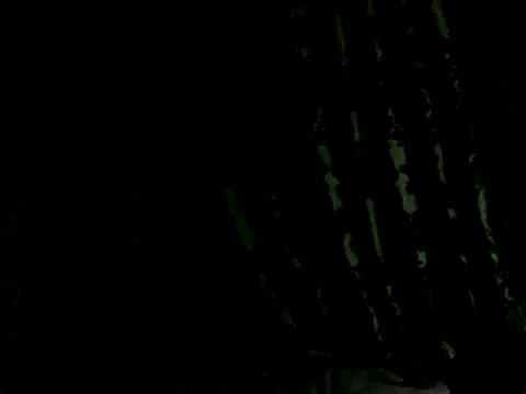 Quinn 05 online show from 8, 2, 2026