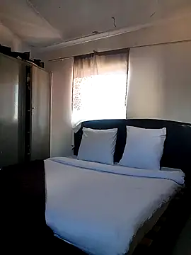 SeasonalCanvas138 online show from 3, 12, 2025